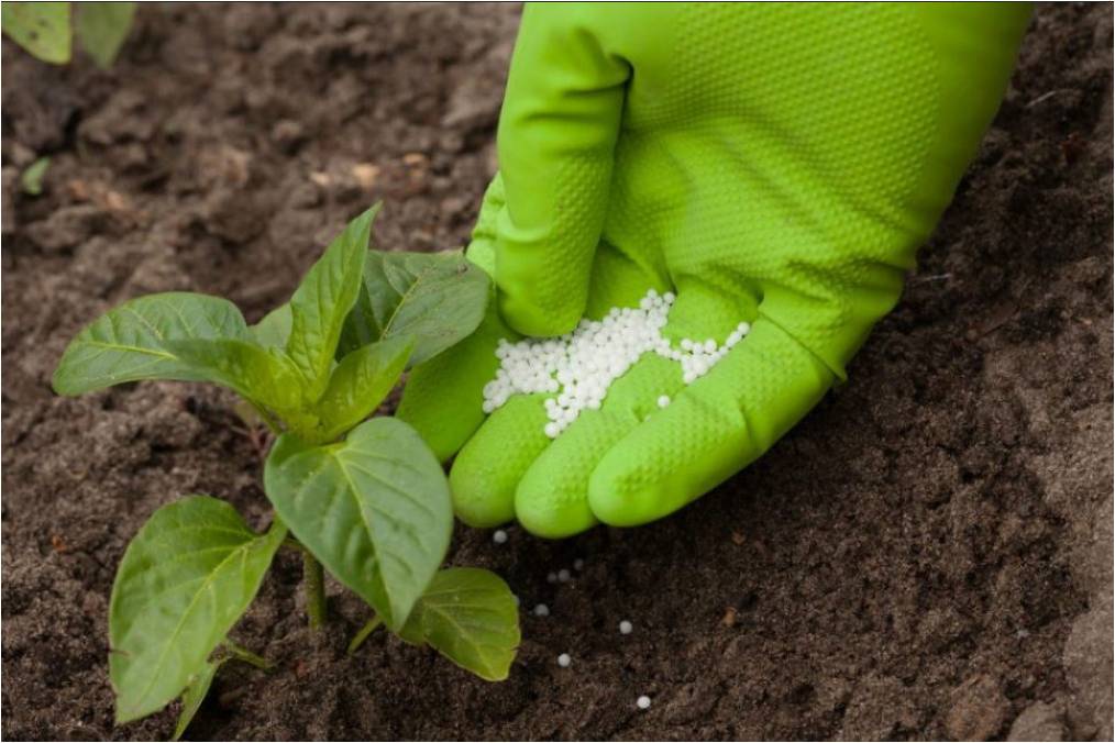 Fertilizers and Pesticides